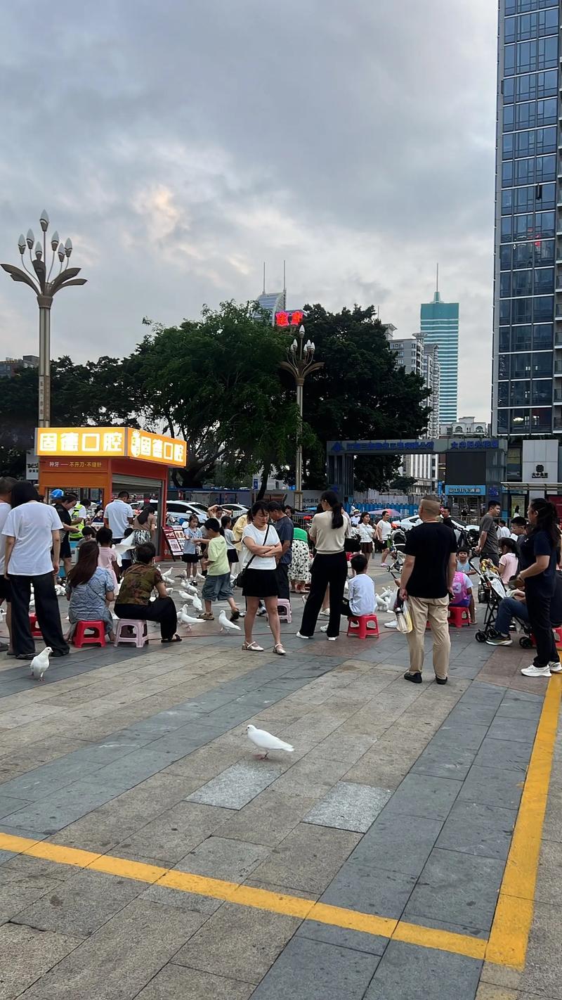 厚街论坛2026最新
截图