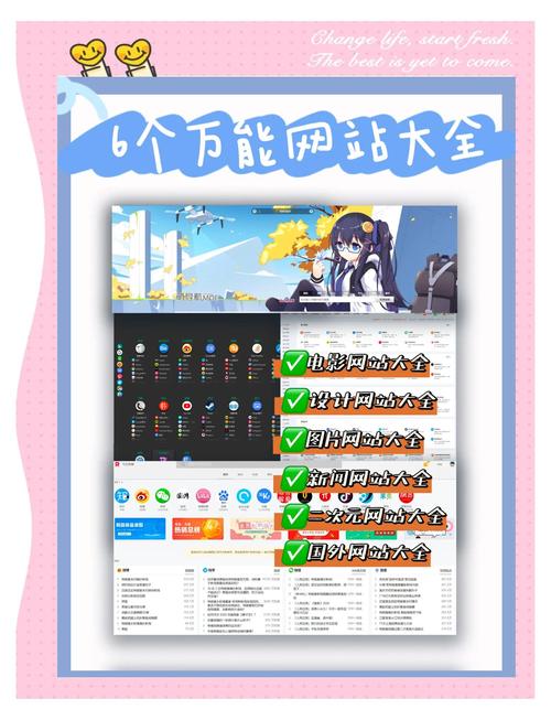 信天游网站2026最新
