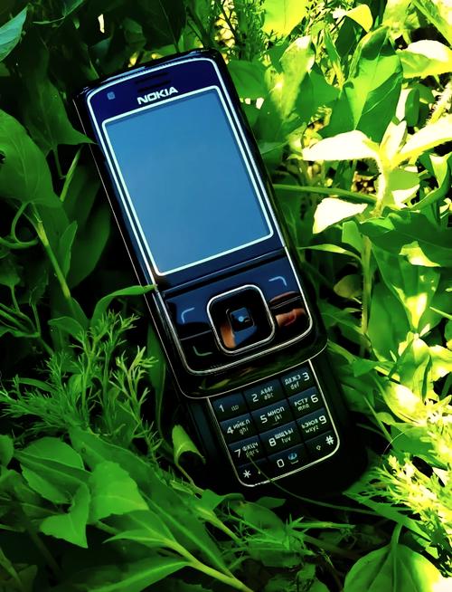 诺基亚主题下载2026最新
