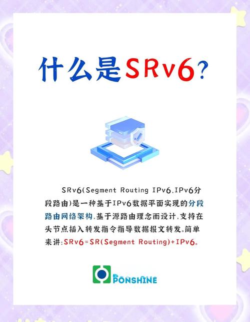 iis6下载2026最新
截图