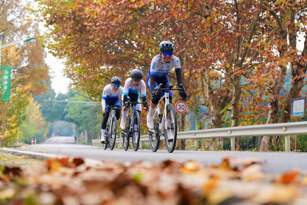 驴友论坛2026最新
