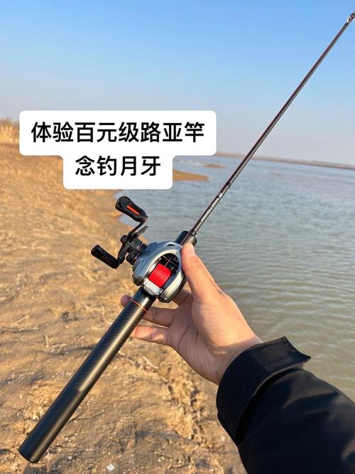 路亚之家2026最新
