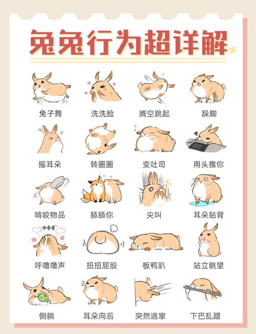 脱兔怎么搜索2026最新
