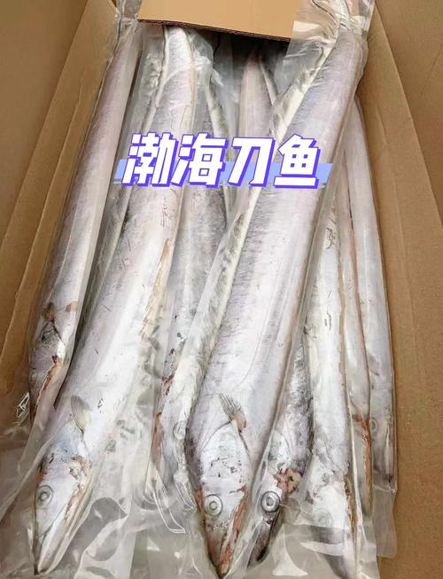 渤海商品2026最新
截图