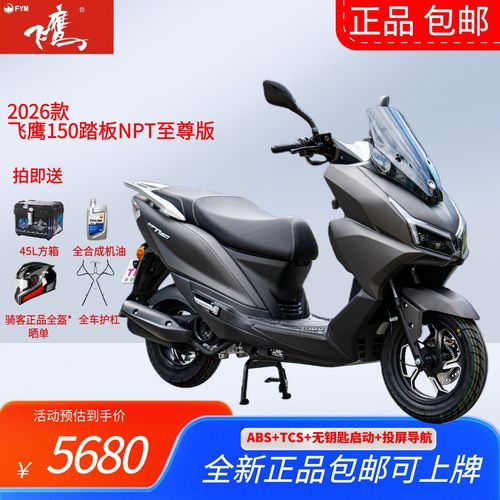 飞鹰网络电视下载2026最新
