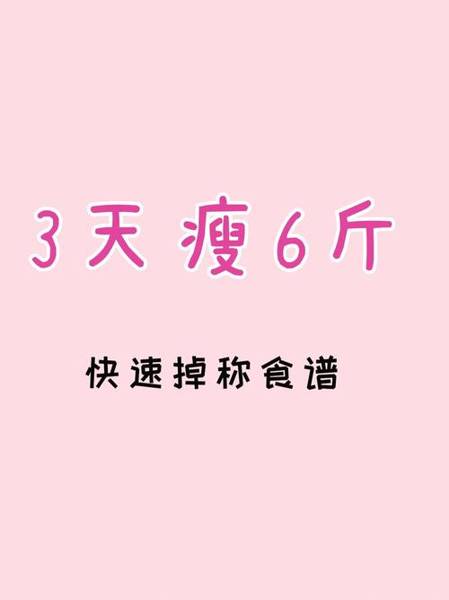 天天瘦减肥网2026最新
