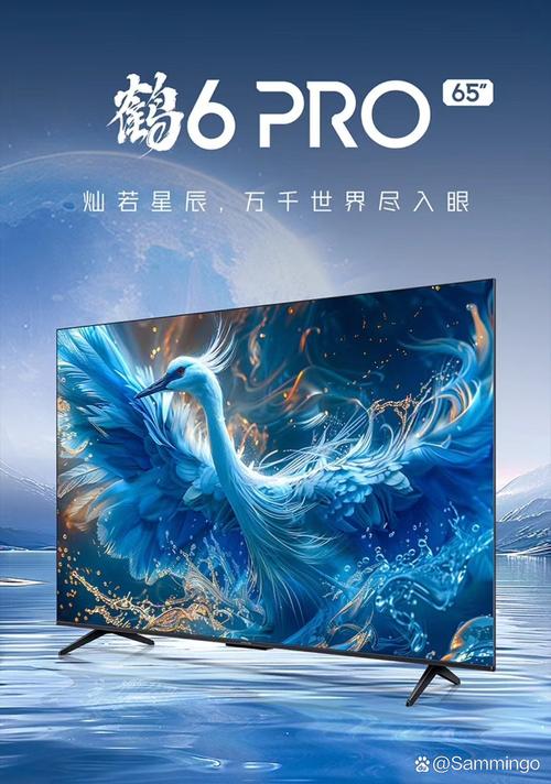 极光网络电视2026最新
截图