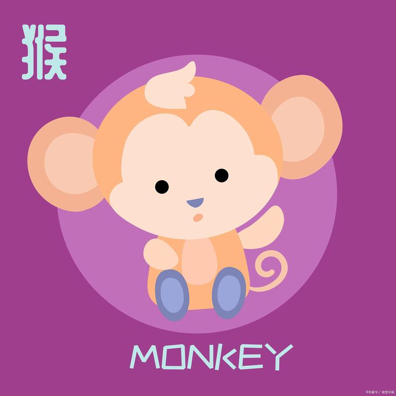 12猴子下载2026最新版
