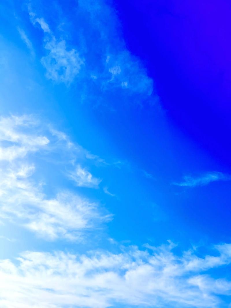 软件天空2026最新版
截图