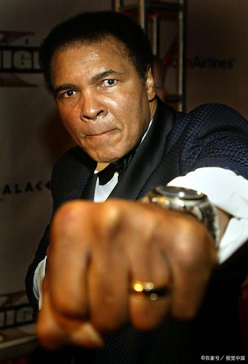 拳王阿里下载2026最新版
