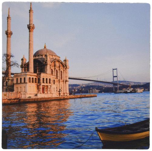 米折网2026最新版
