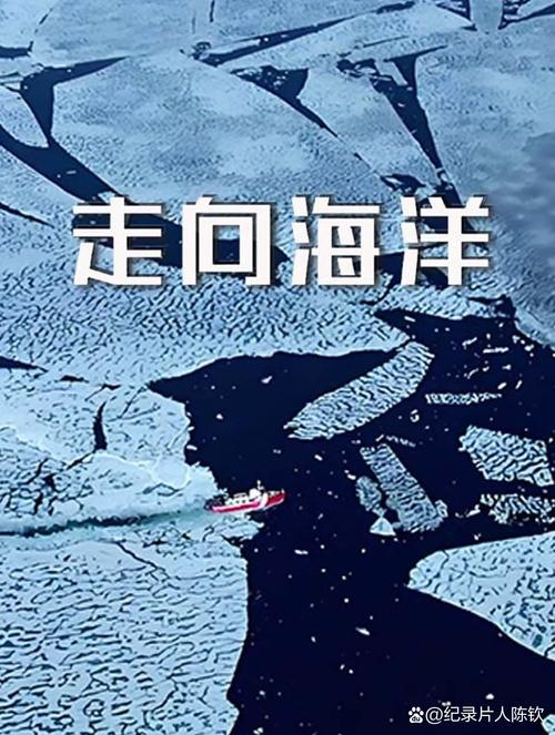 走向海洋下载2026最新版
