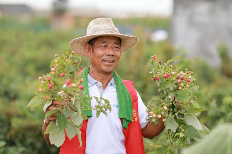 胡萝卜须下载2026最新版
截图