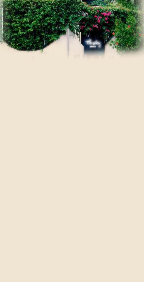 qq外观透明皮肤2026最新版
