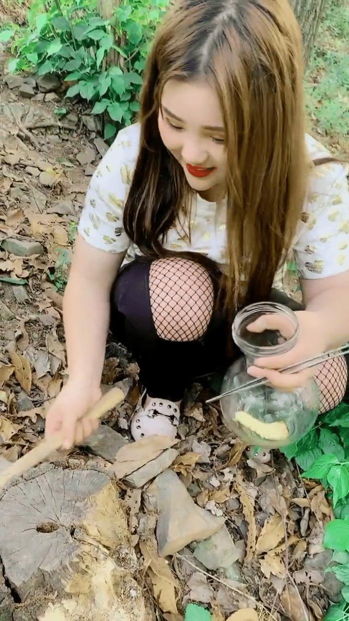 美女捉虫2026最新版
