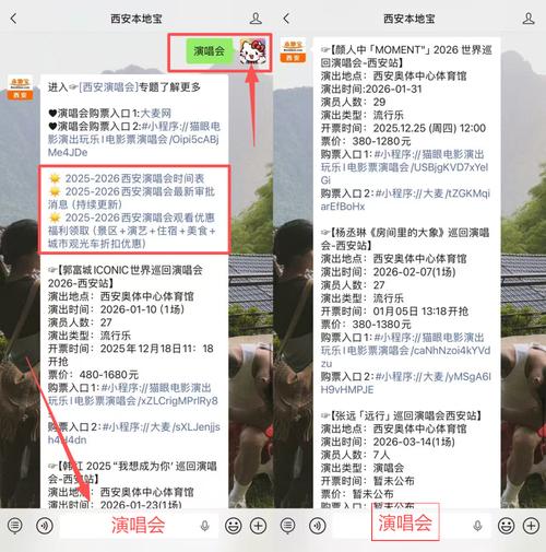 空间音乐查询2026最新版
