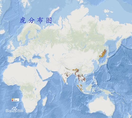 老虎地图包2026最新版
截图