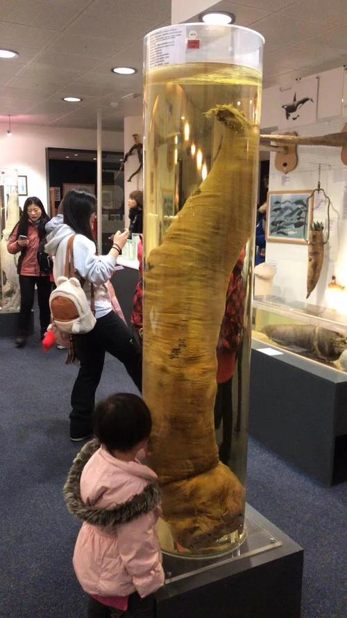 丁丁网2026最新版
