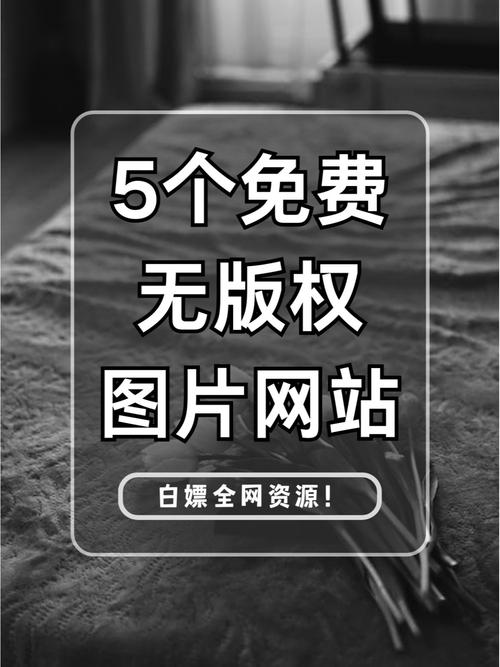 非主流图片软件2026最新版
