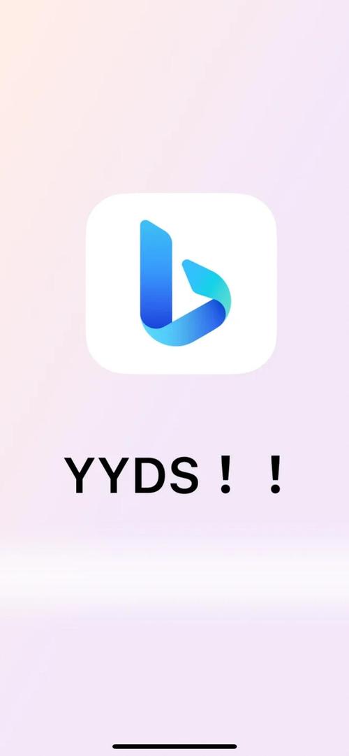 必应搜索2026最新版
截图