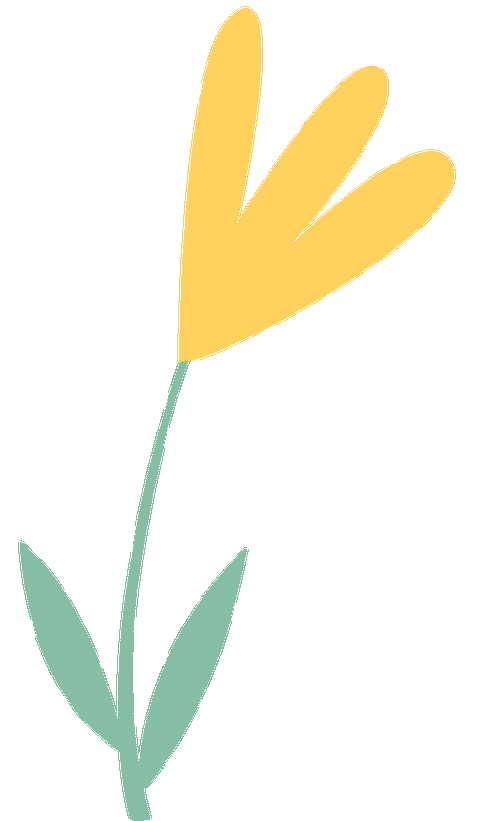 动态屏幕保护下载2026最新版
