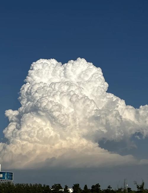 云图 下载2026最新版
