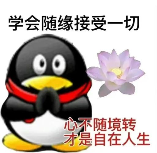 qq表情包大全下载2026最新版
