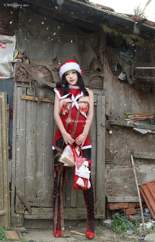 小莉网2026最新版
