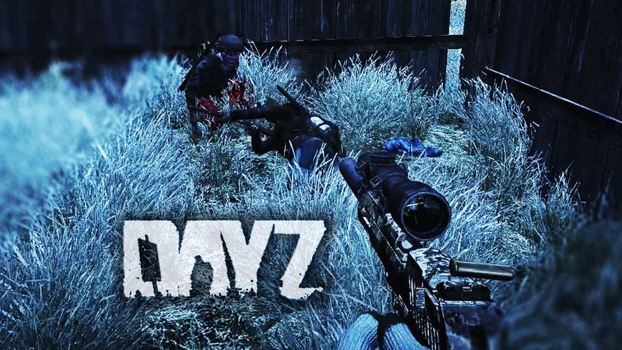 dayz2026最新版
