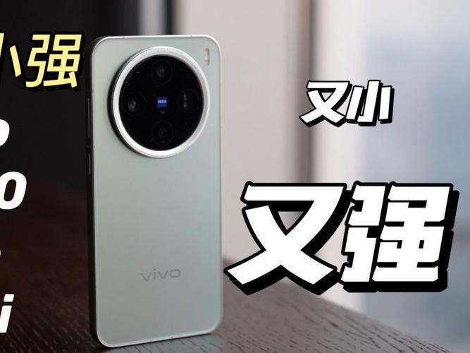 手机小强2026最新版
