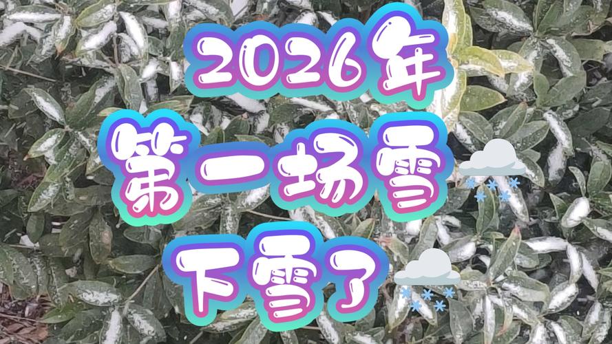桌面下雪软件2026最新版
