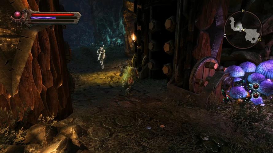 阿玛拉王国惩罚2026最新版
