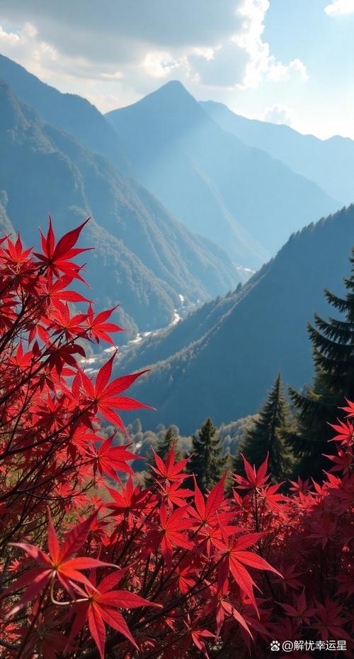 远山的红叶下载2026最新版
