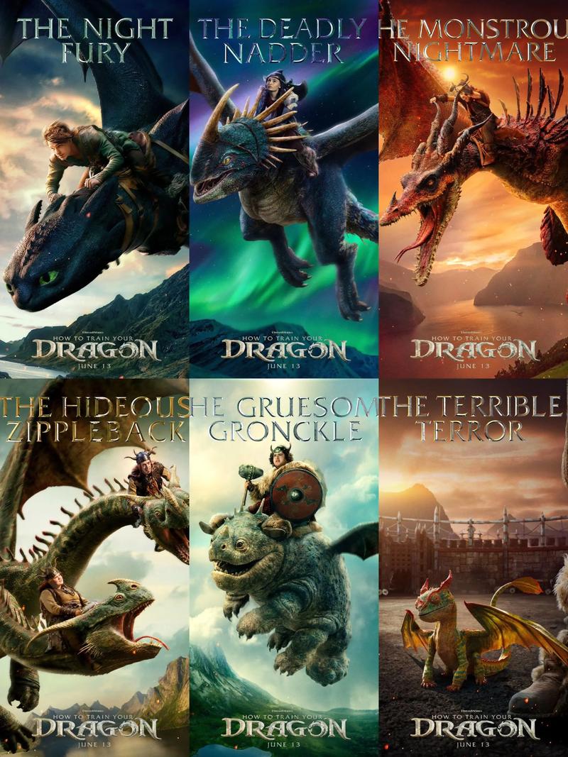 驯龙高手 下载2026最新版
