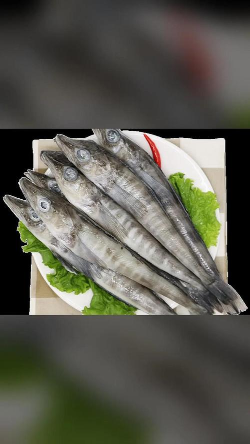 冰鱼下载2026最新版
