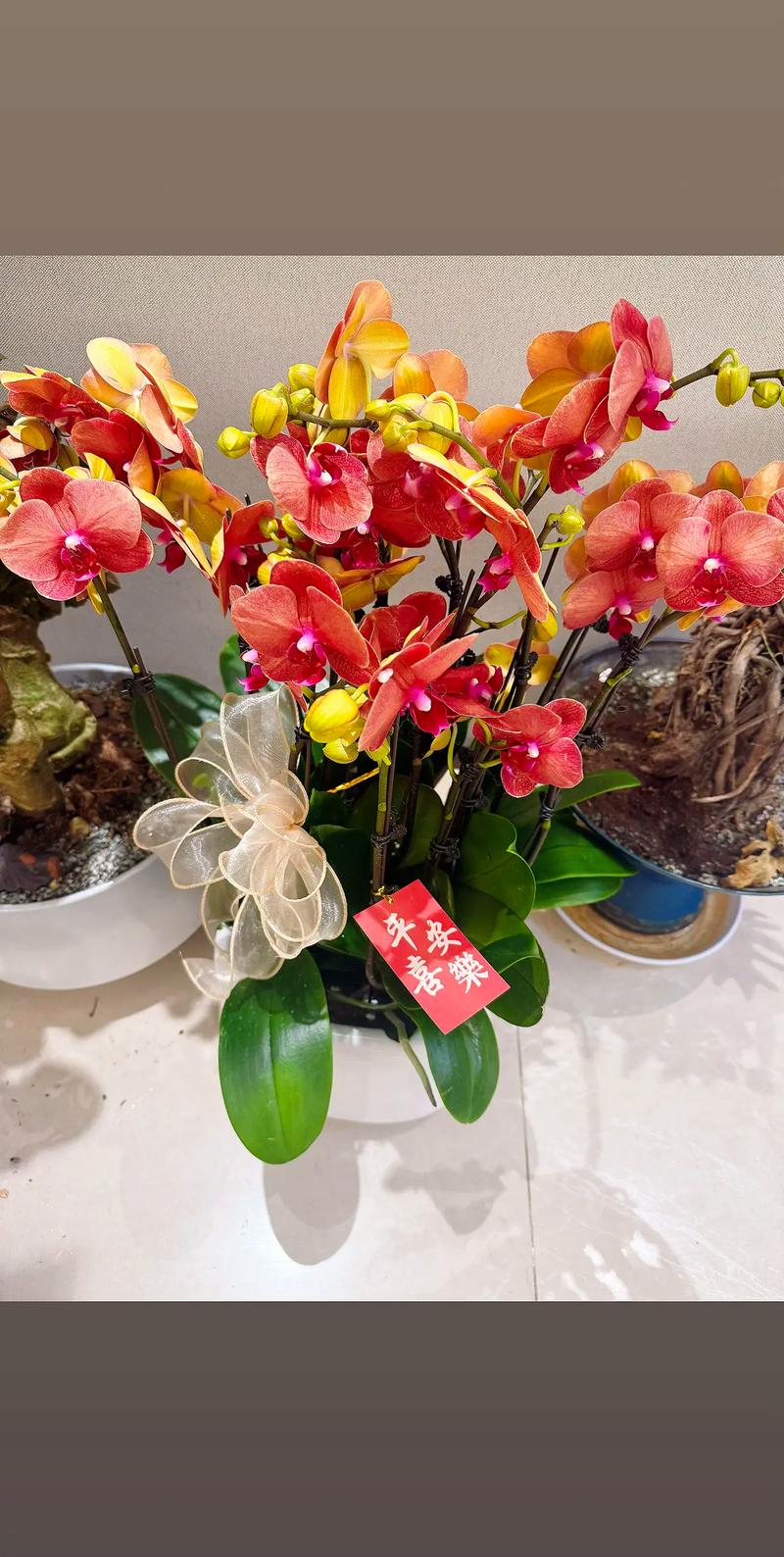 花到家2026最新版
截图