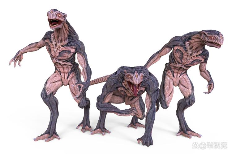 异形地带2026最新版
