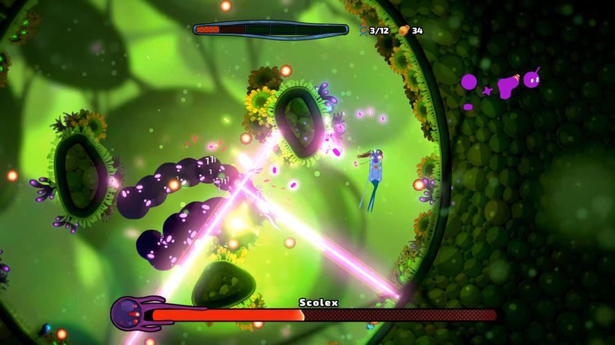 安塔芮丝 下载2026最新版
