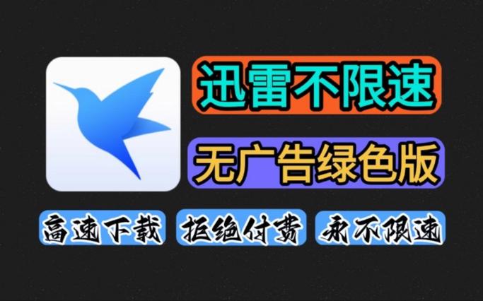 迅雷无广告版2026最新版
