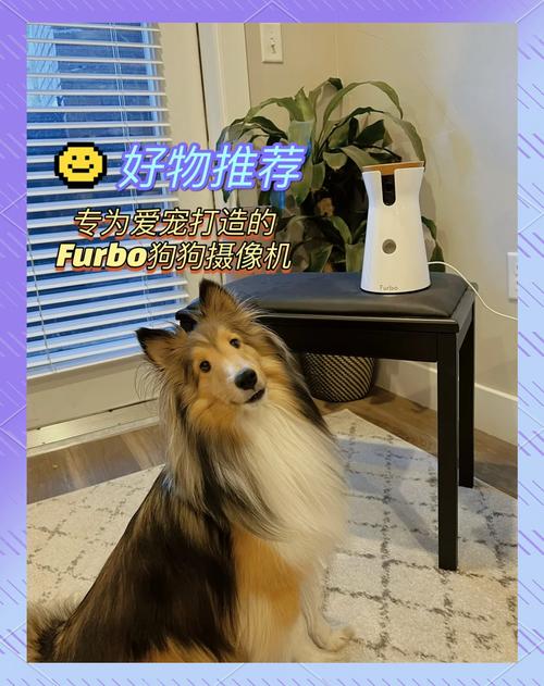 furbo