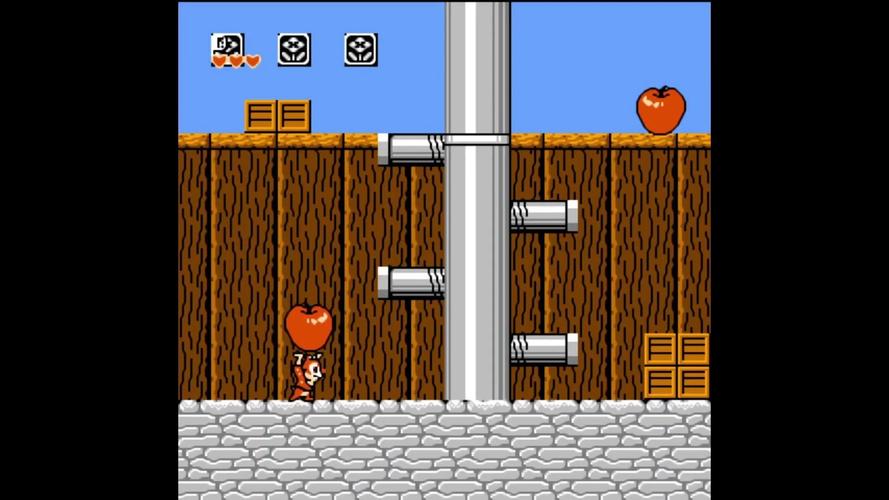 松鼠大战电脑2026
