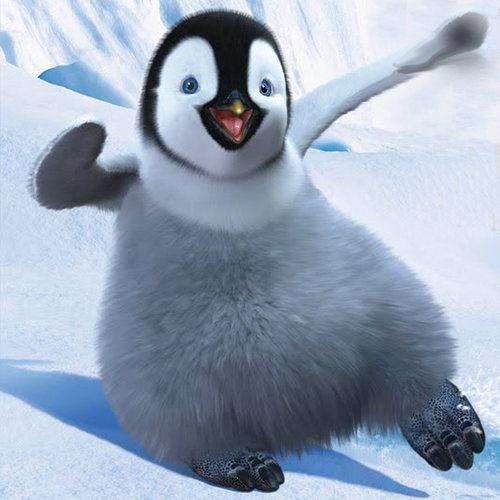 快乐的大脚下载2026
