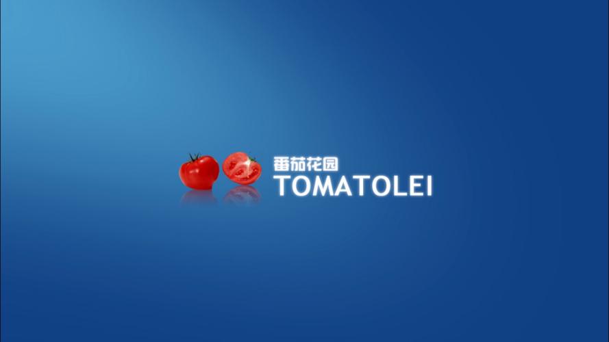 番茄花园rom2026
