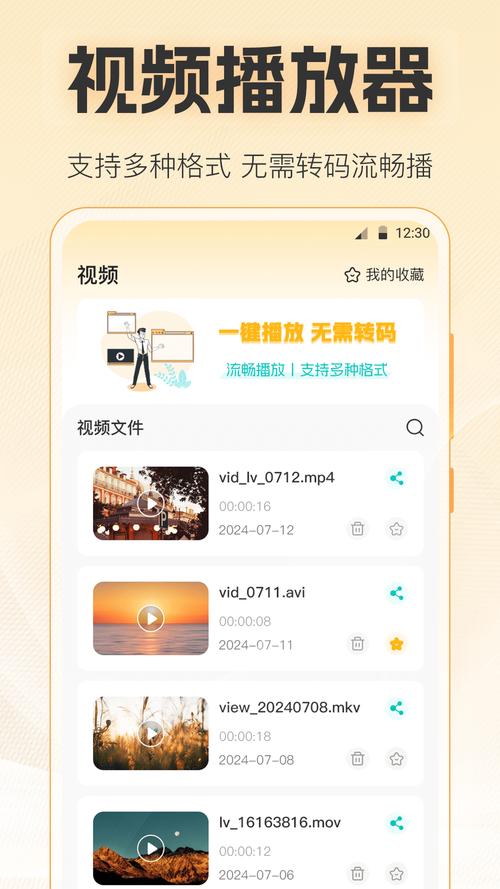 安卓手机视频播放器2026
