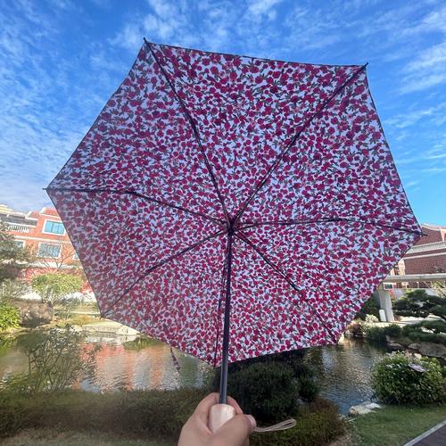 小雨伞最新版2026
