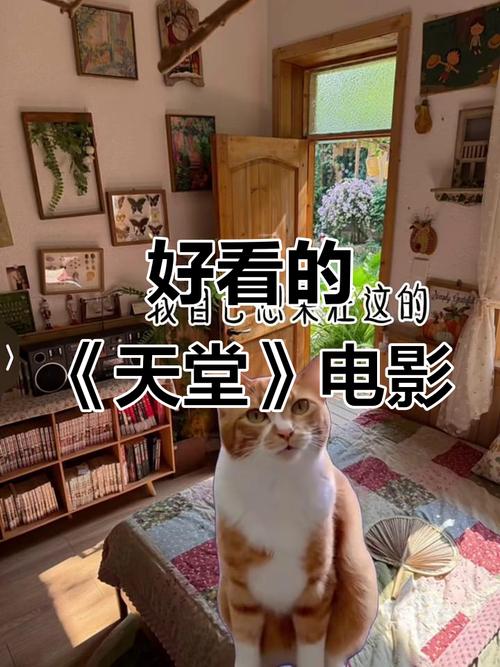 电影天堂下载2026
