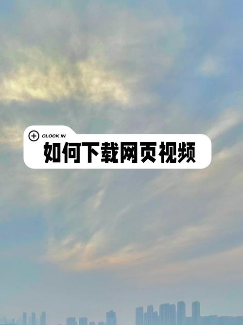 网上视频下载

