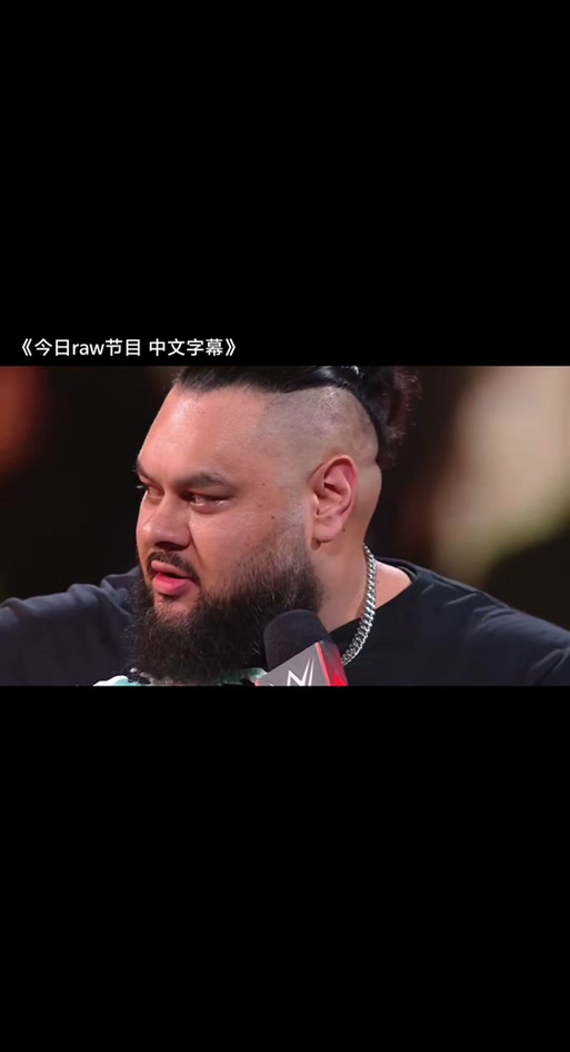 美国职业摔跤中文
