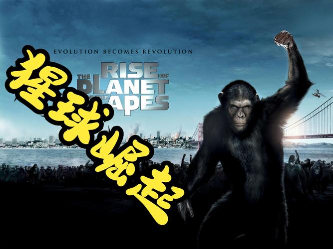 猩球崛起字幕下载
