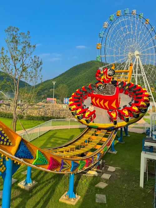 疯狂旅游团下载2026
